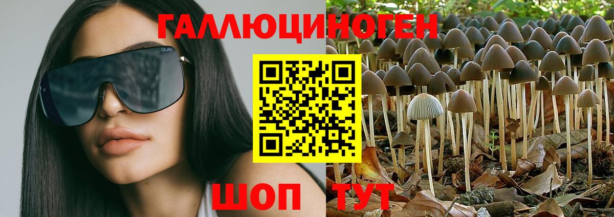 Галлюциногенные грибы MAGIC MUSHROOMS Норильск