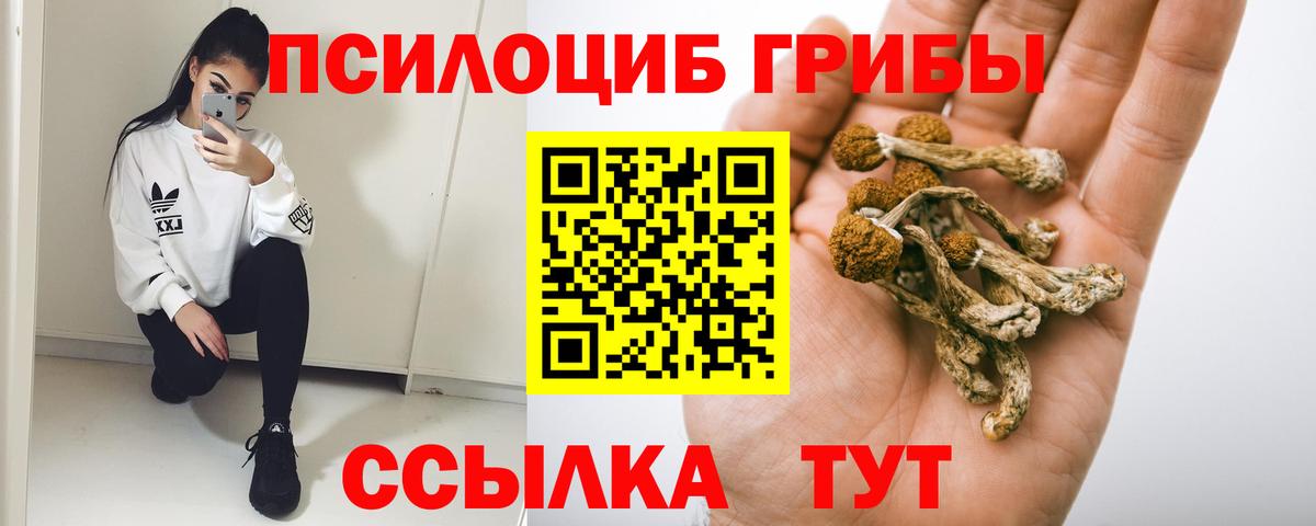 Псилоцибиновые грибы прущие грибы  сколько стоит  Норильск  Вход с VPN  Псилоцибиновые грибы мицелий 